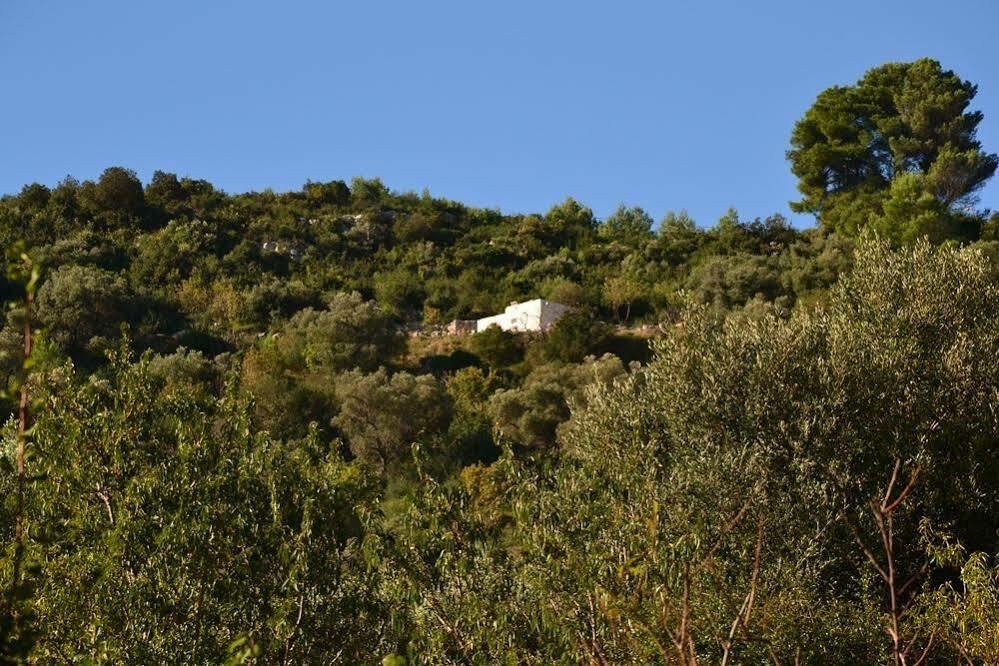 La Lamia 1864 By Rentbeat Daire Ostuni Dış mekan fotoğraf